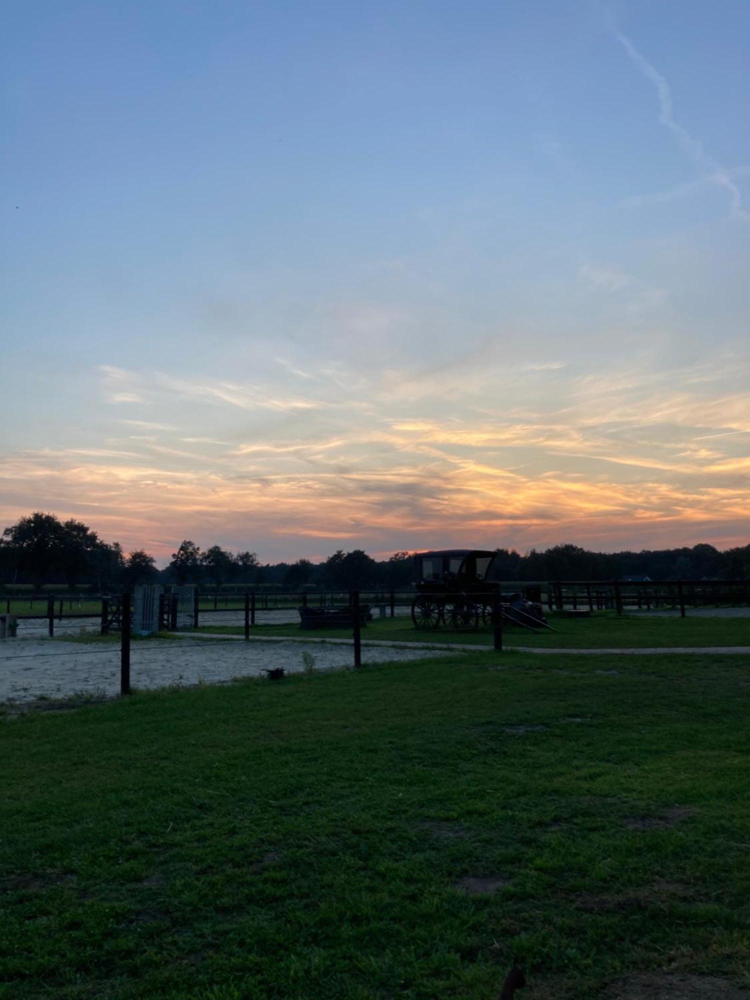 Bed & Breakfast Hoeve Happiness - Ontbijt Inbegrepen - Wellness Aanwezig Voorthuizen Dış mekan fotoğraf
