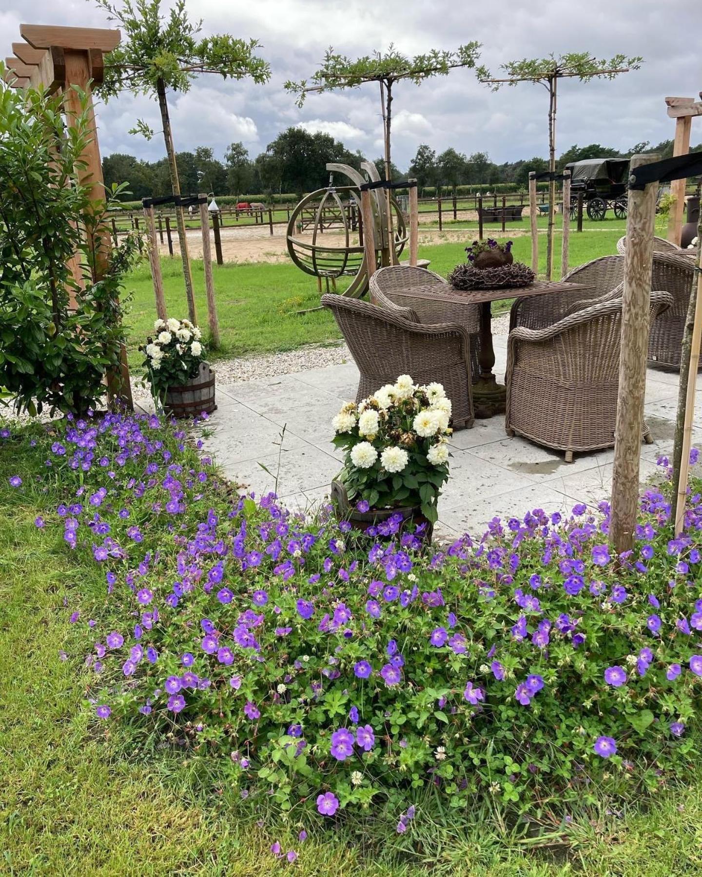 Bed & Breakfast Hoeve Happiness - Ontbijt Inbegrepen - Wellness Aanwezig Voorthuizen Dış mekan fotoğraf