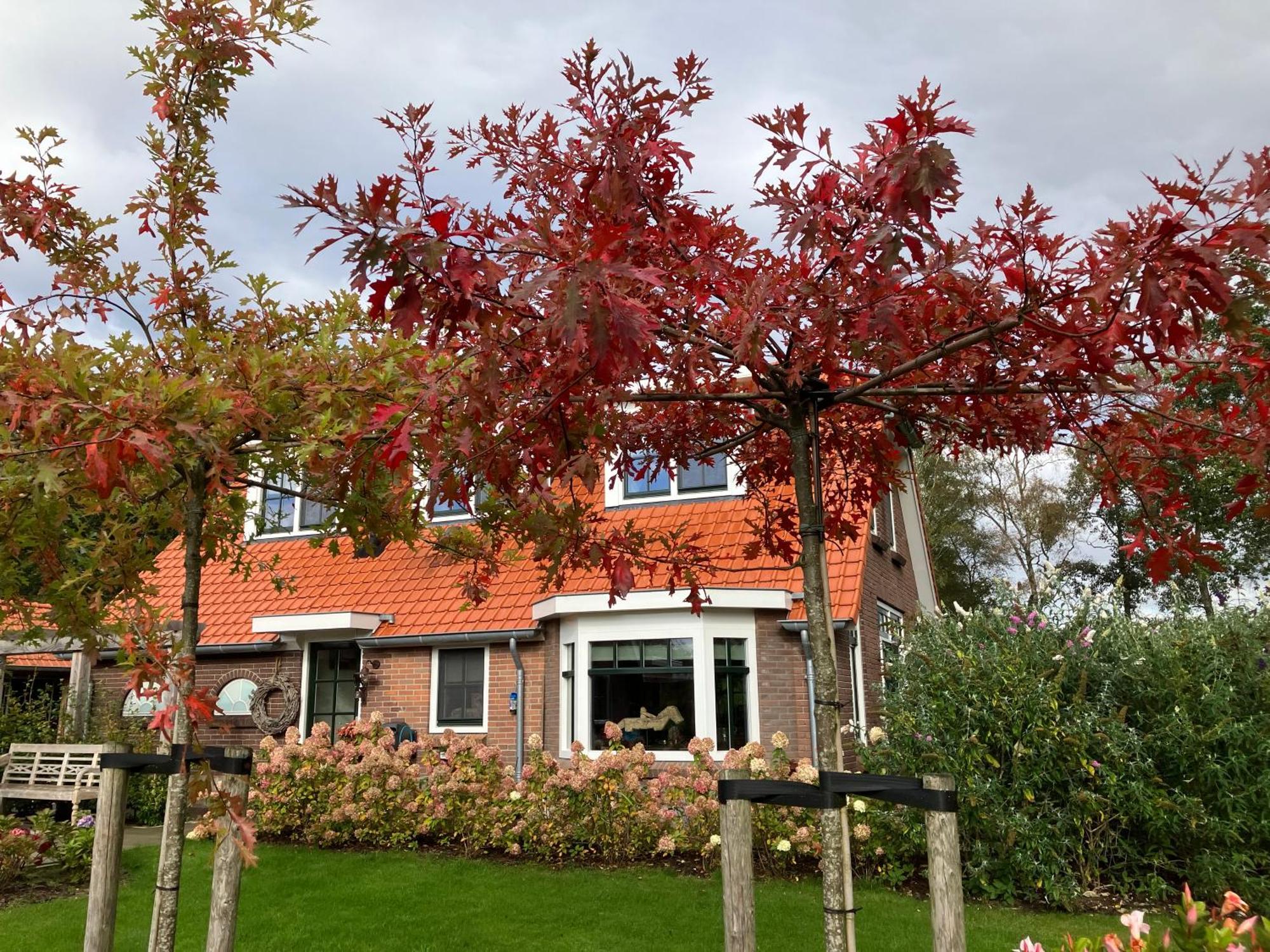 Bed & Breakfast Hoeve Happiness - Ontbijt Inbegrepen - Wellness Aanwezig Voorthuizen Dış mekan fotoğraf